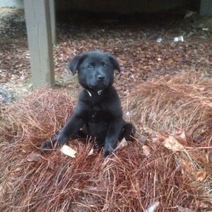 Meet your Posher, Evan